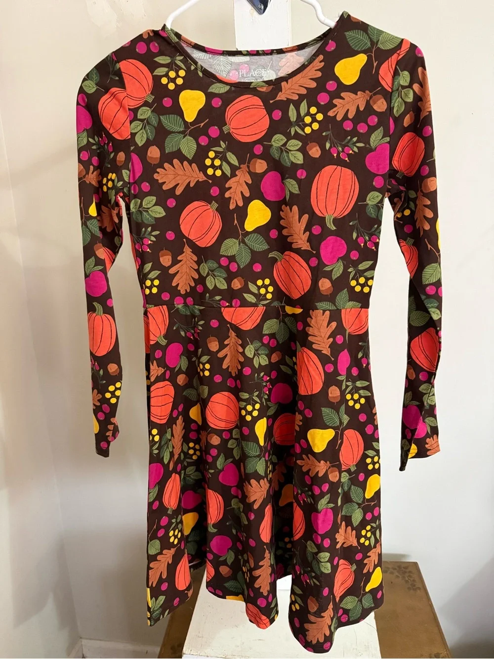 NWT Children’s Place Fall Dress